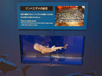 P1210126_thumb.png