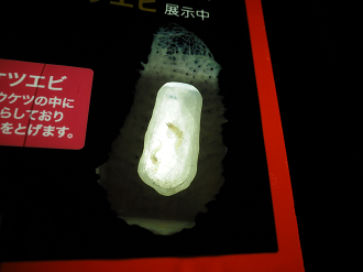 P1210159_thumb.png