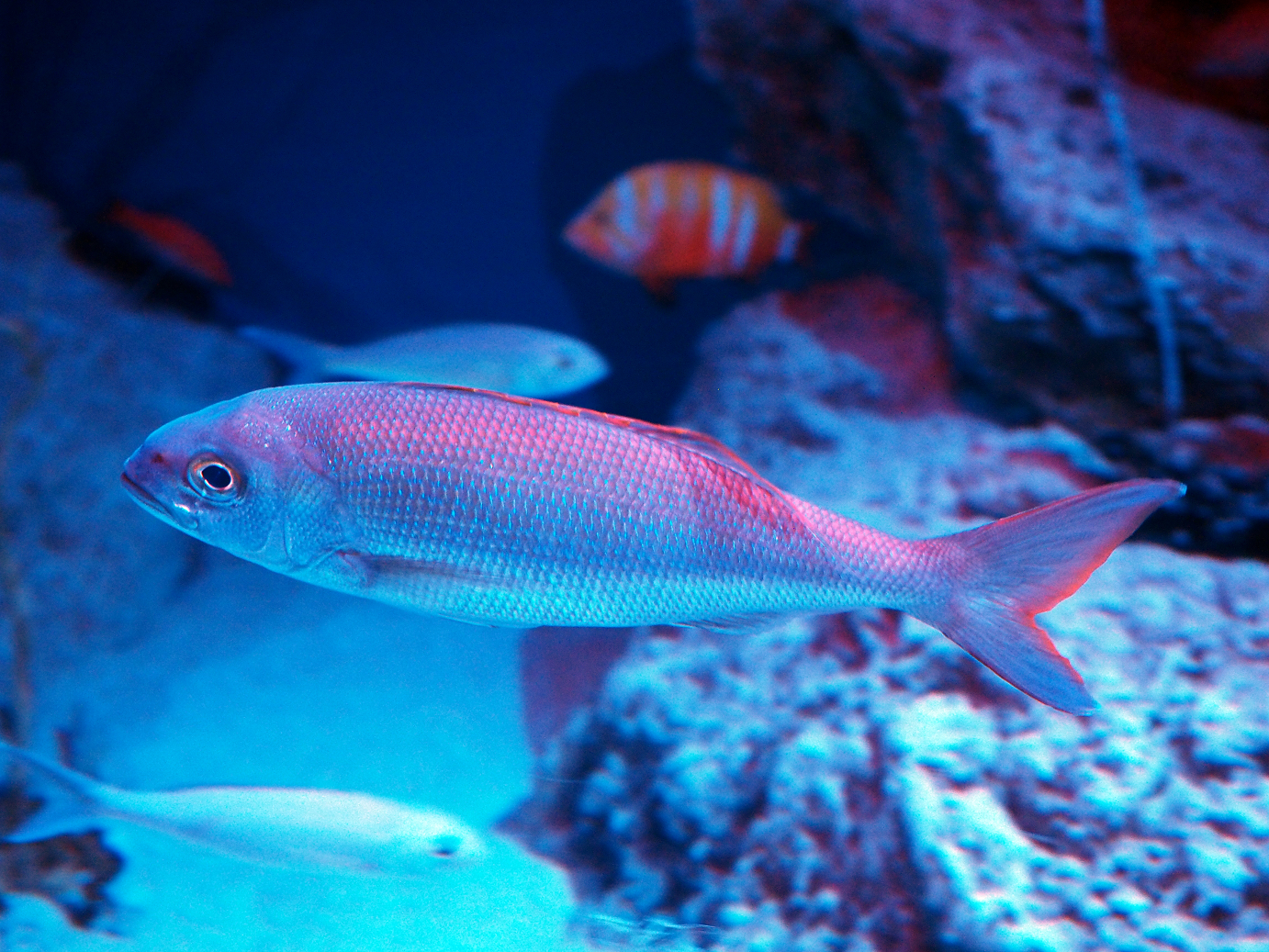 P1210177.jpg