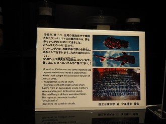 P1210263_thumb.png