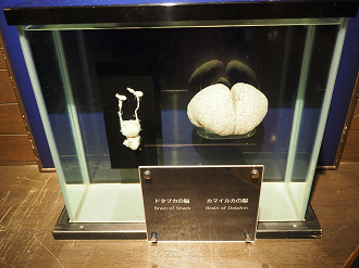 P1210267_thumb.png