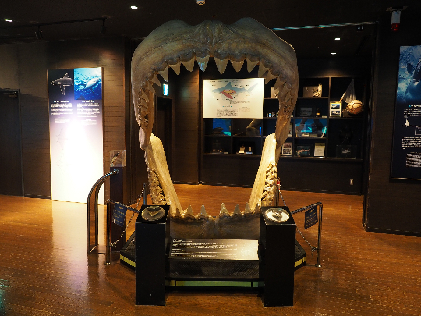 P1210271.jpg