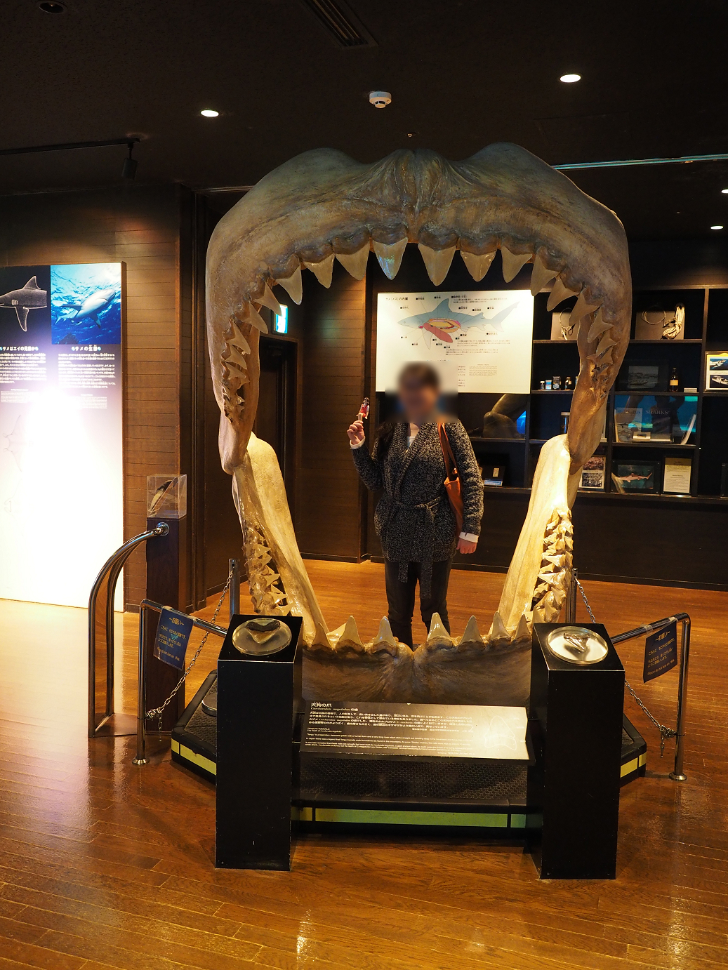 P1210275.jpg