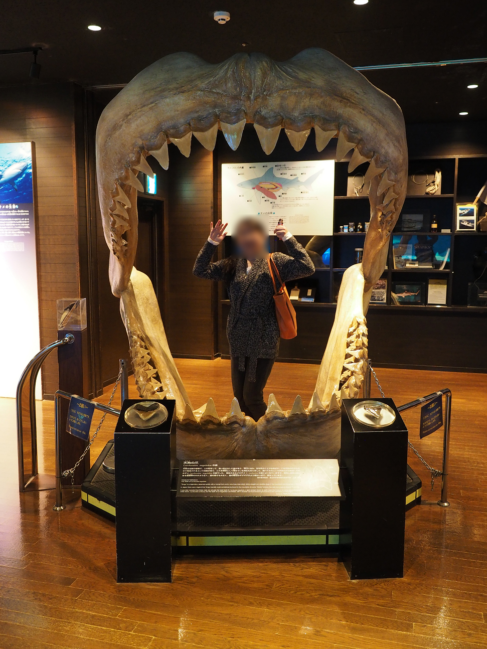 P1210277.jpg