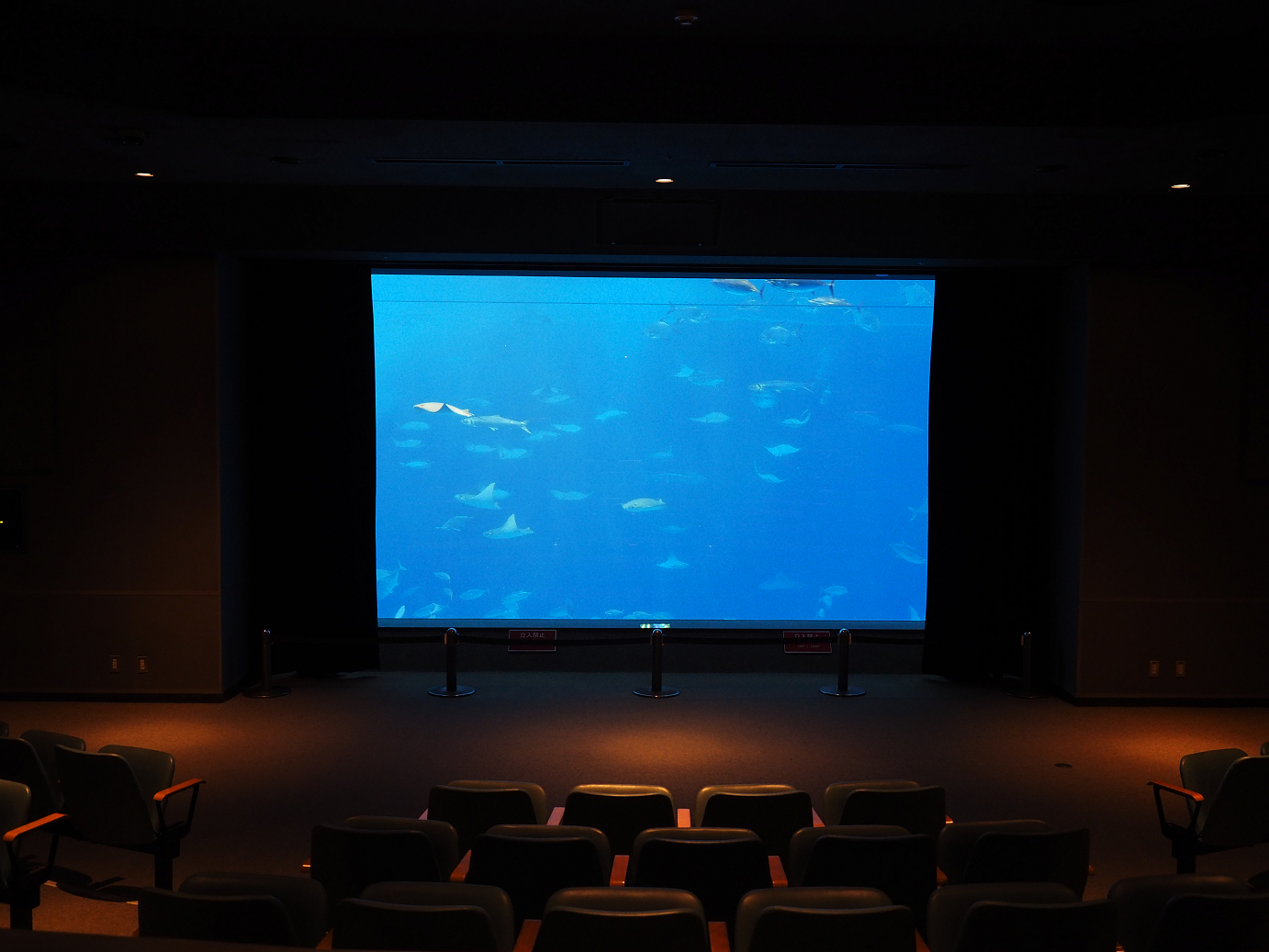 P1210287.jpg