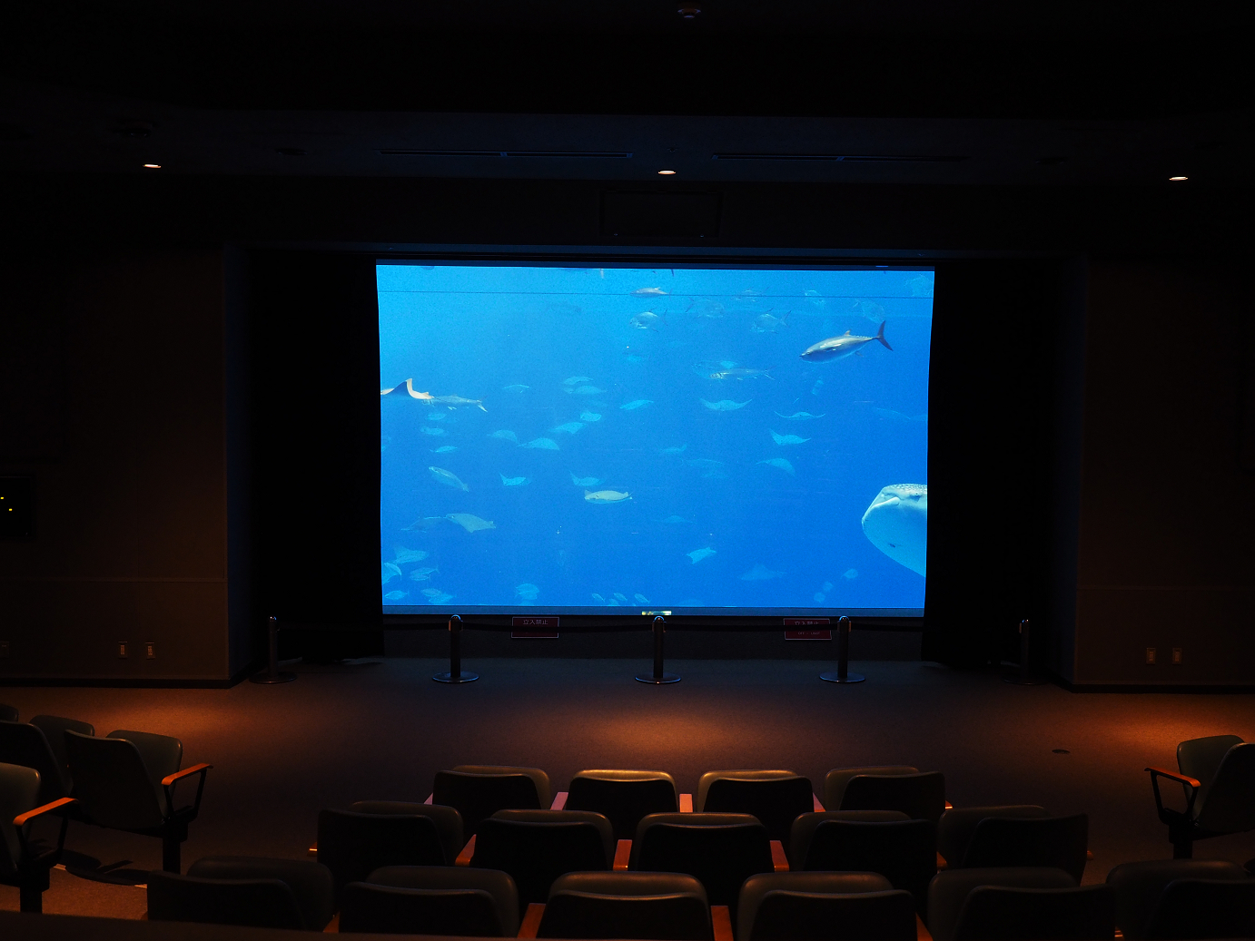 P1210288.jpg