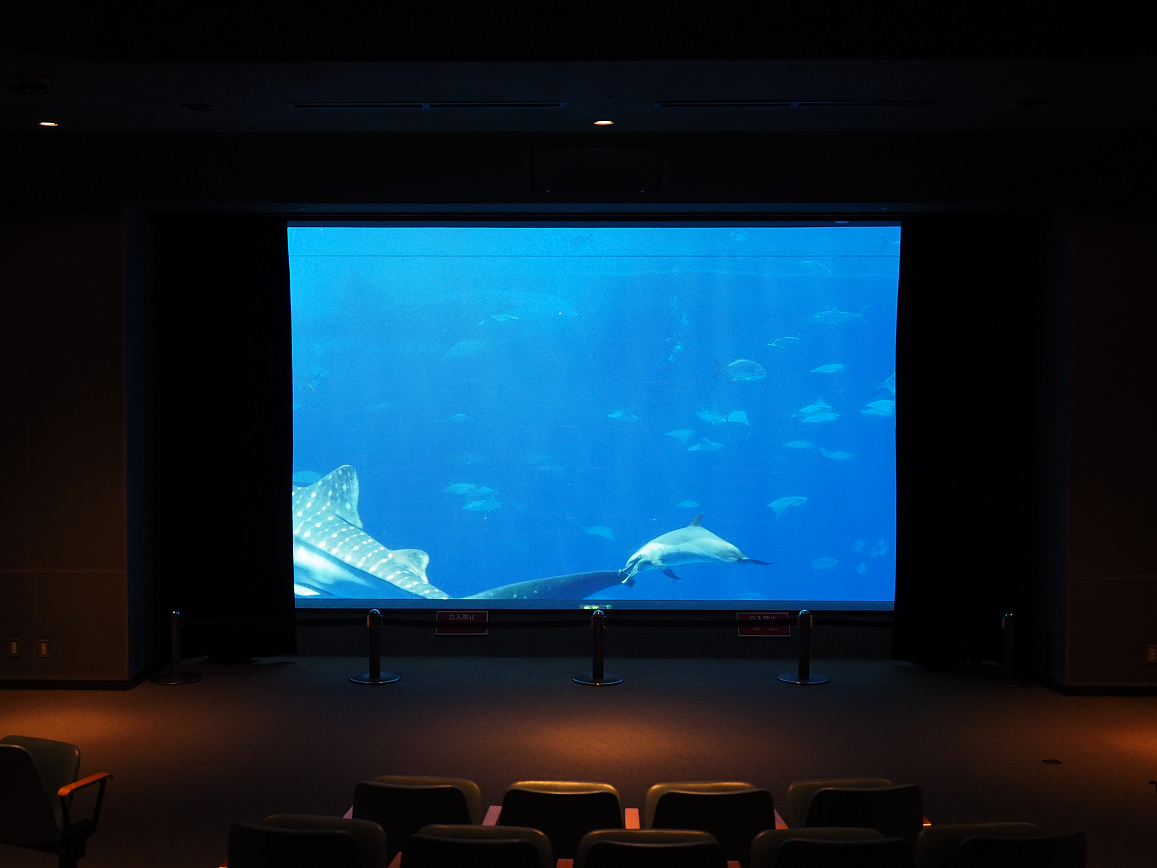 P1210297.jpg