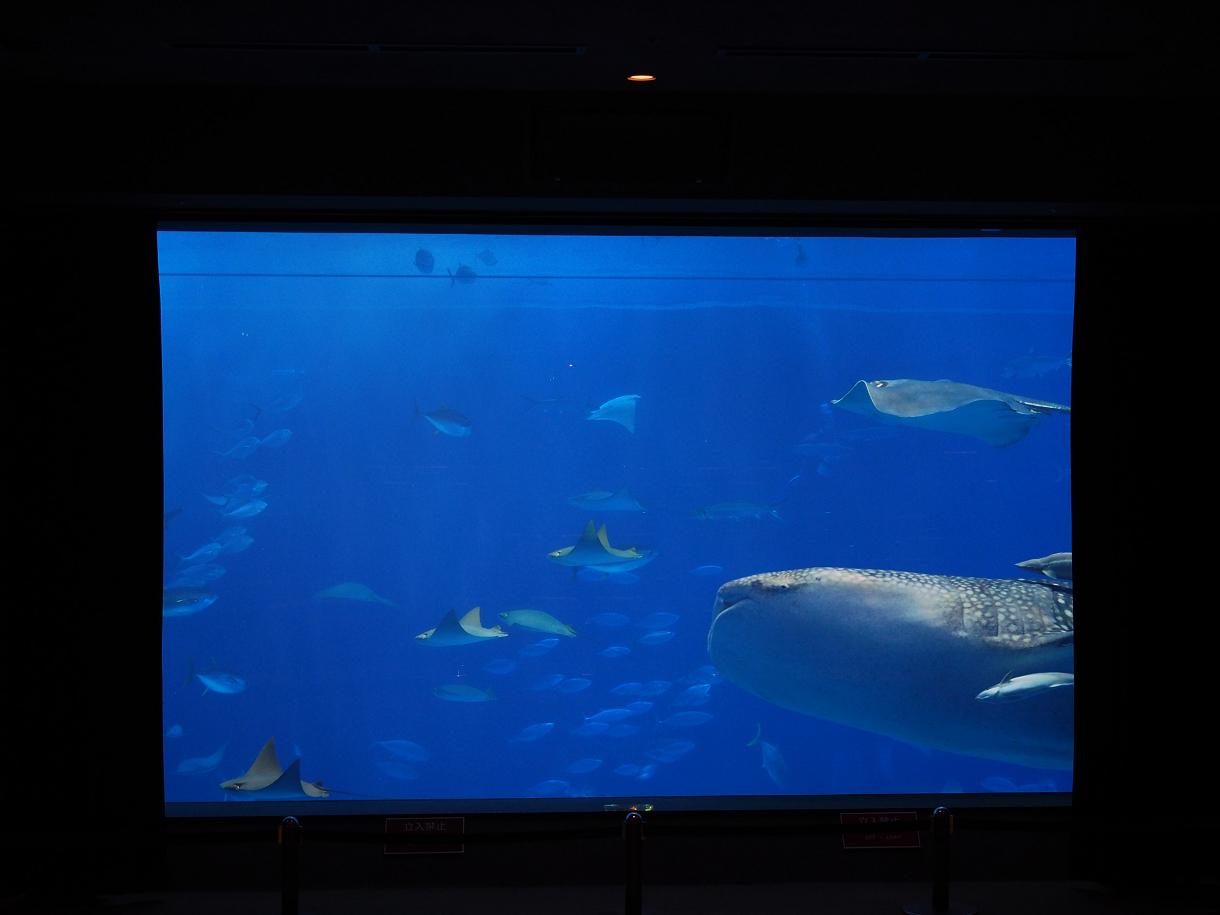 P1210301.jpg