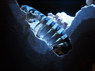 P1210314_thumb.png