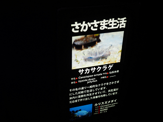P1210321_thumb.png