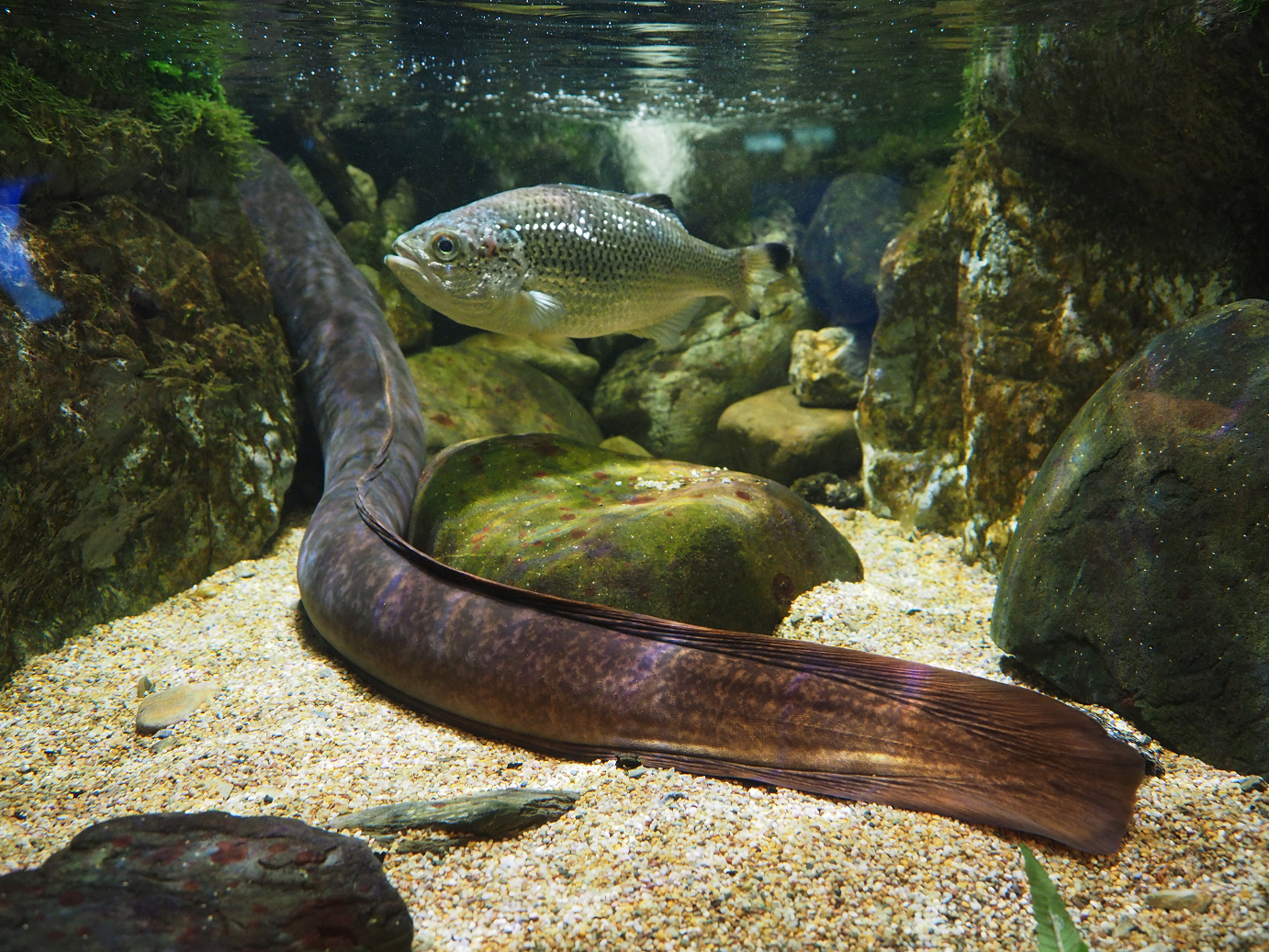 P1210346.jpg