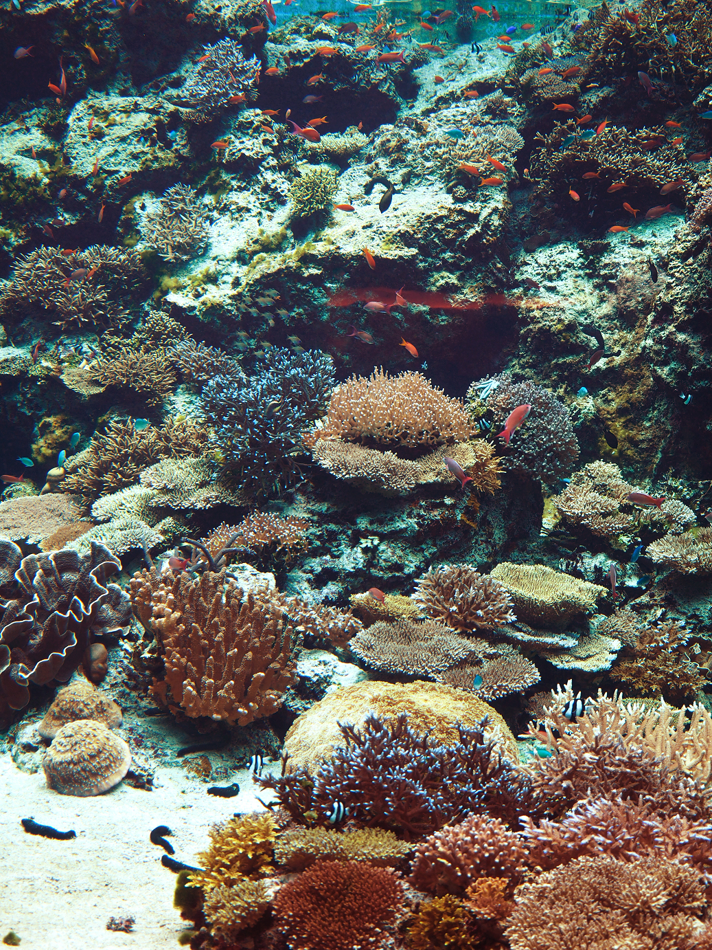 P1210443.jpg