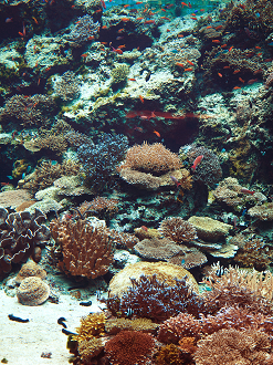 P1210443_thumb.png