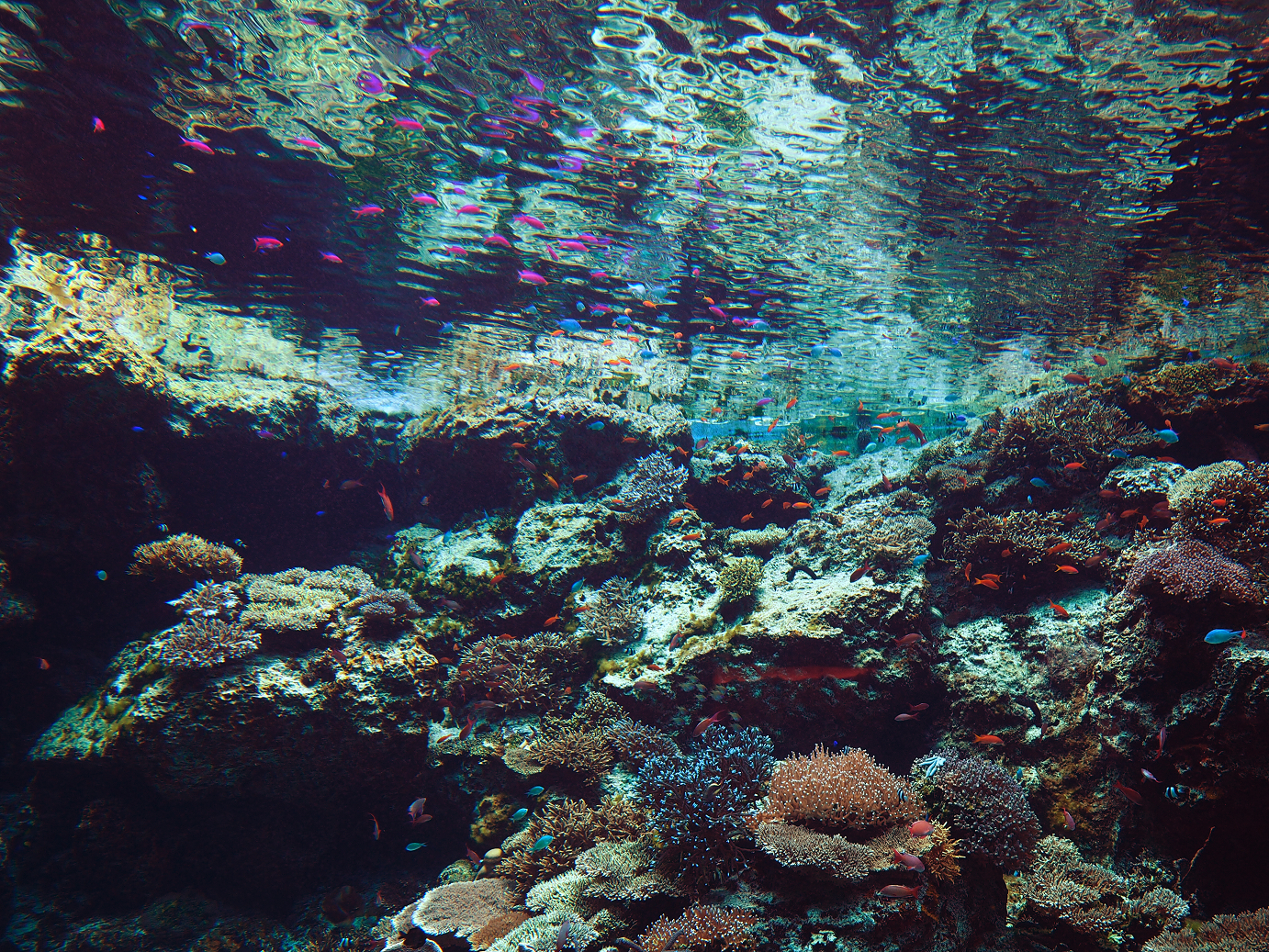 P1210446.jpg