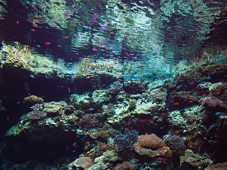 P1210446_thumb.png