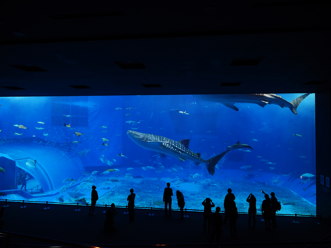 P1210457.jpg
