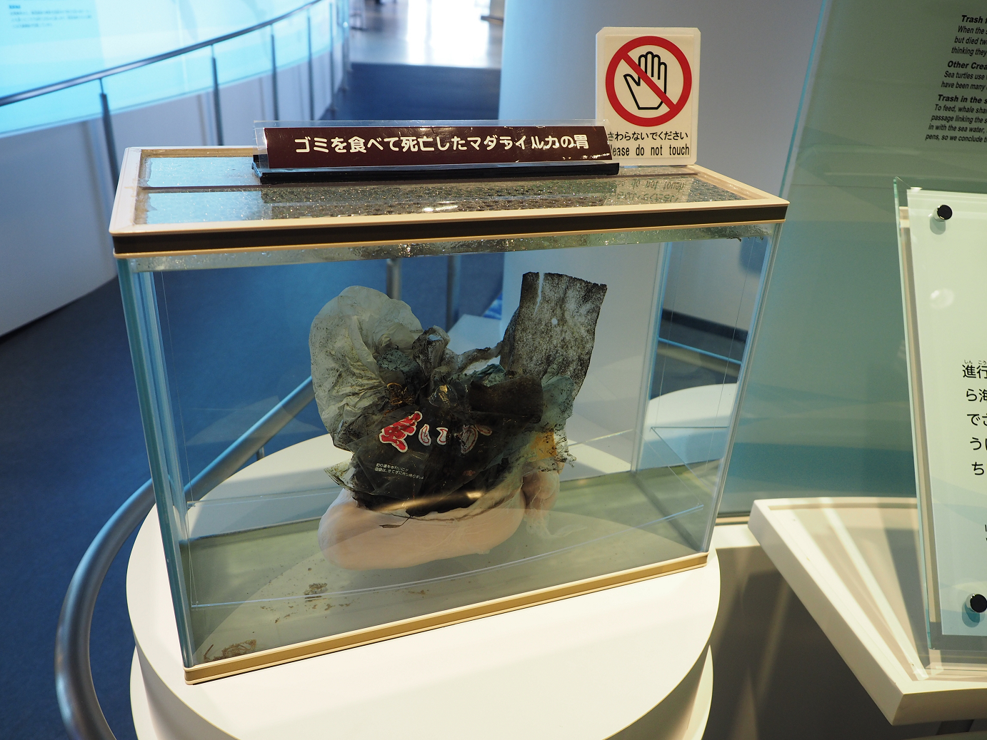P1210515.jpg