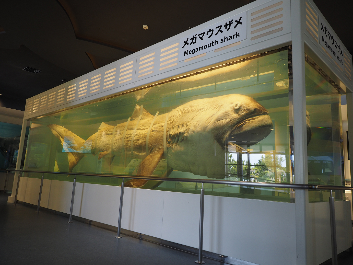 P1210516.jpg