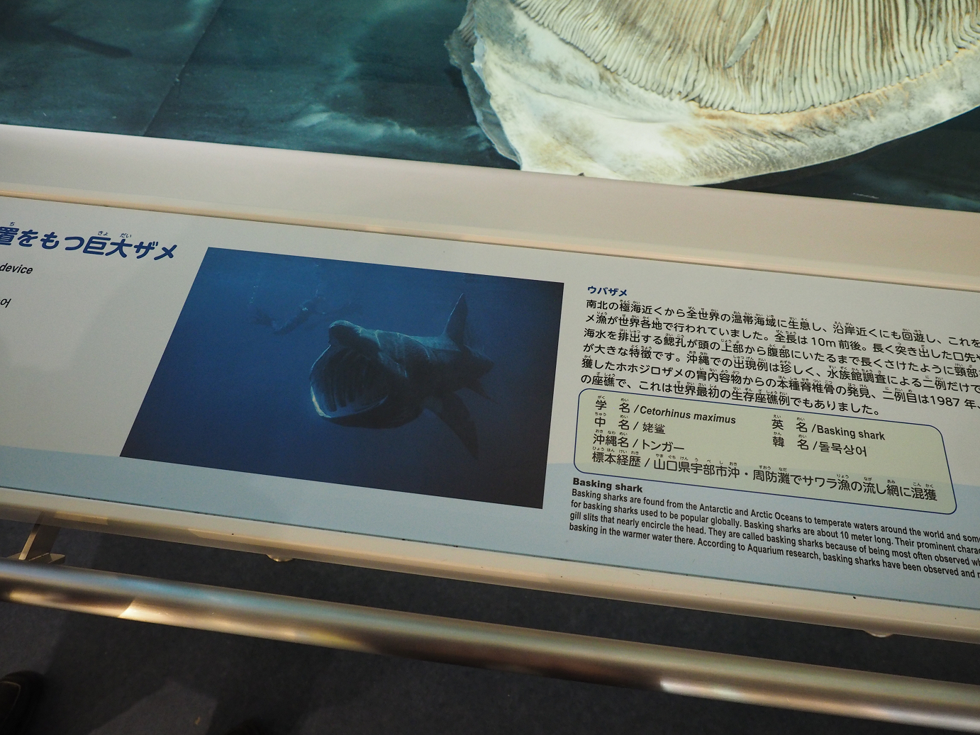 P1210521.jpg