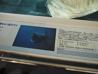 P1210521_thumb.png