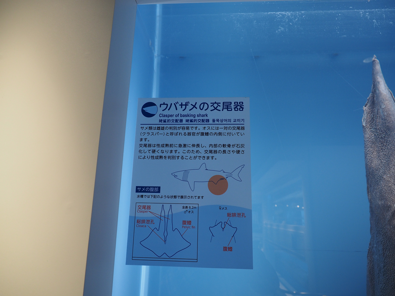 P1210525.jpg