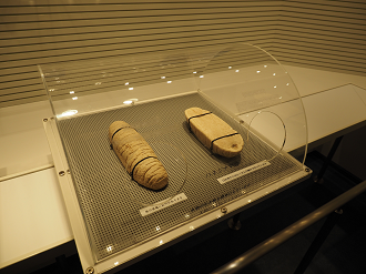 P1210545_thumb.png