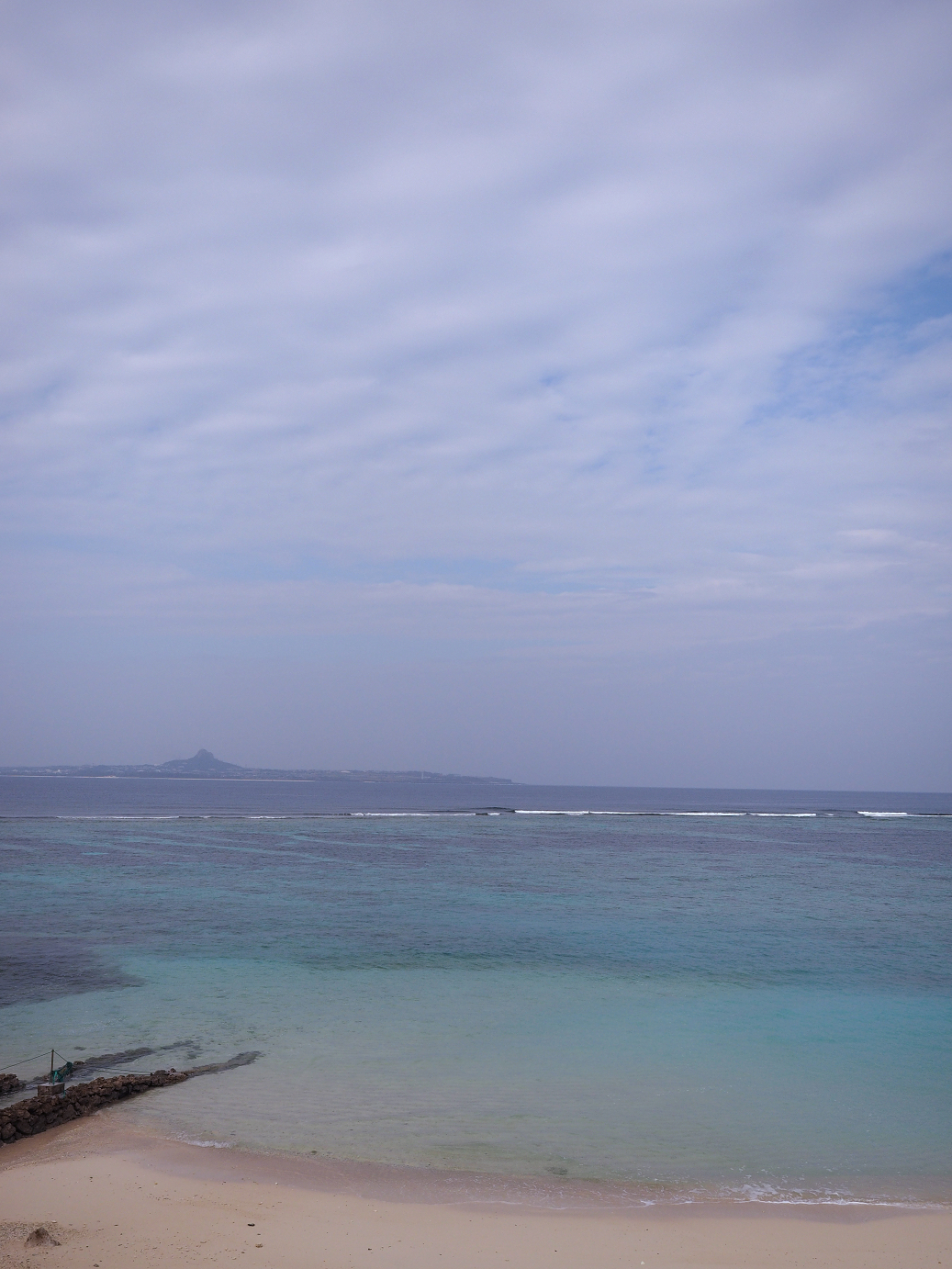 P1210560.jpg