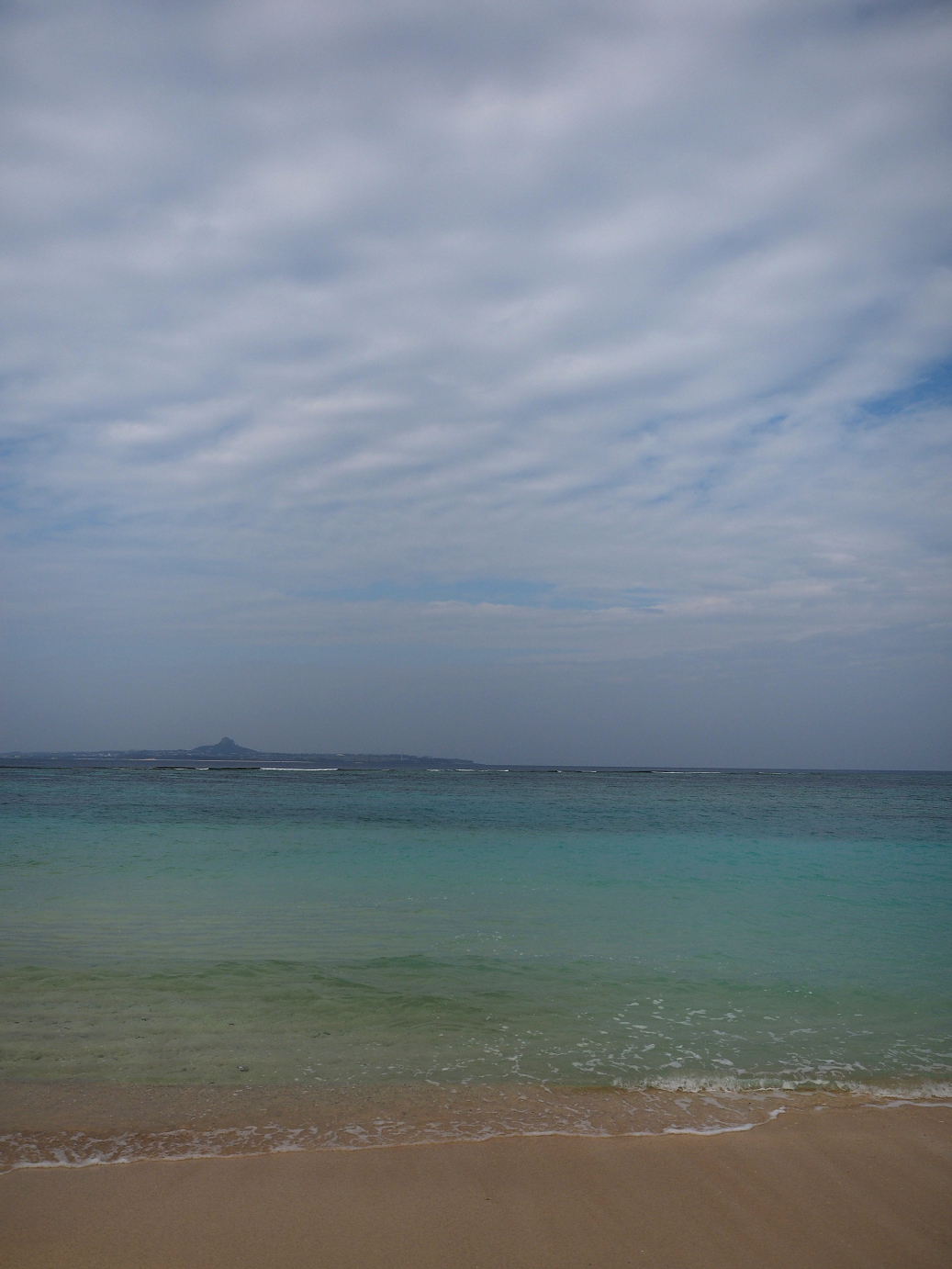 P1210564.jpg