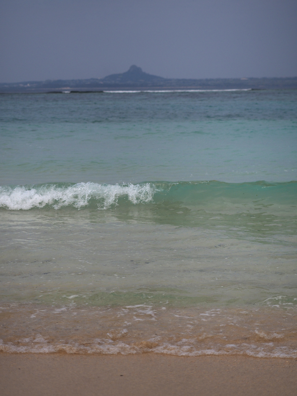 P1210579.jpg