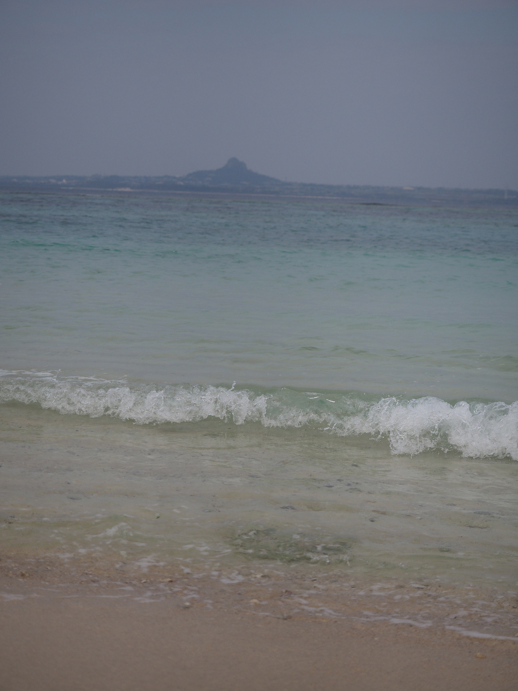 P1210584.jpg