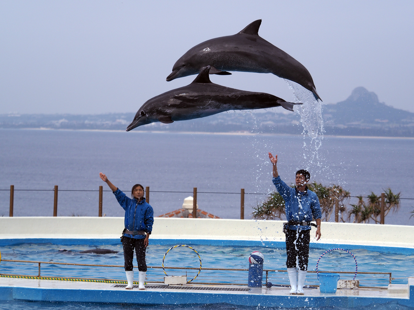 P1210835.jpg