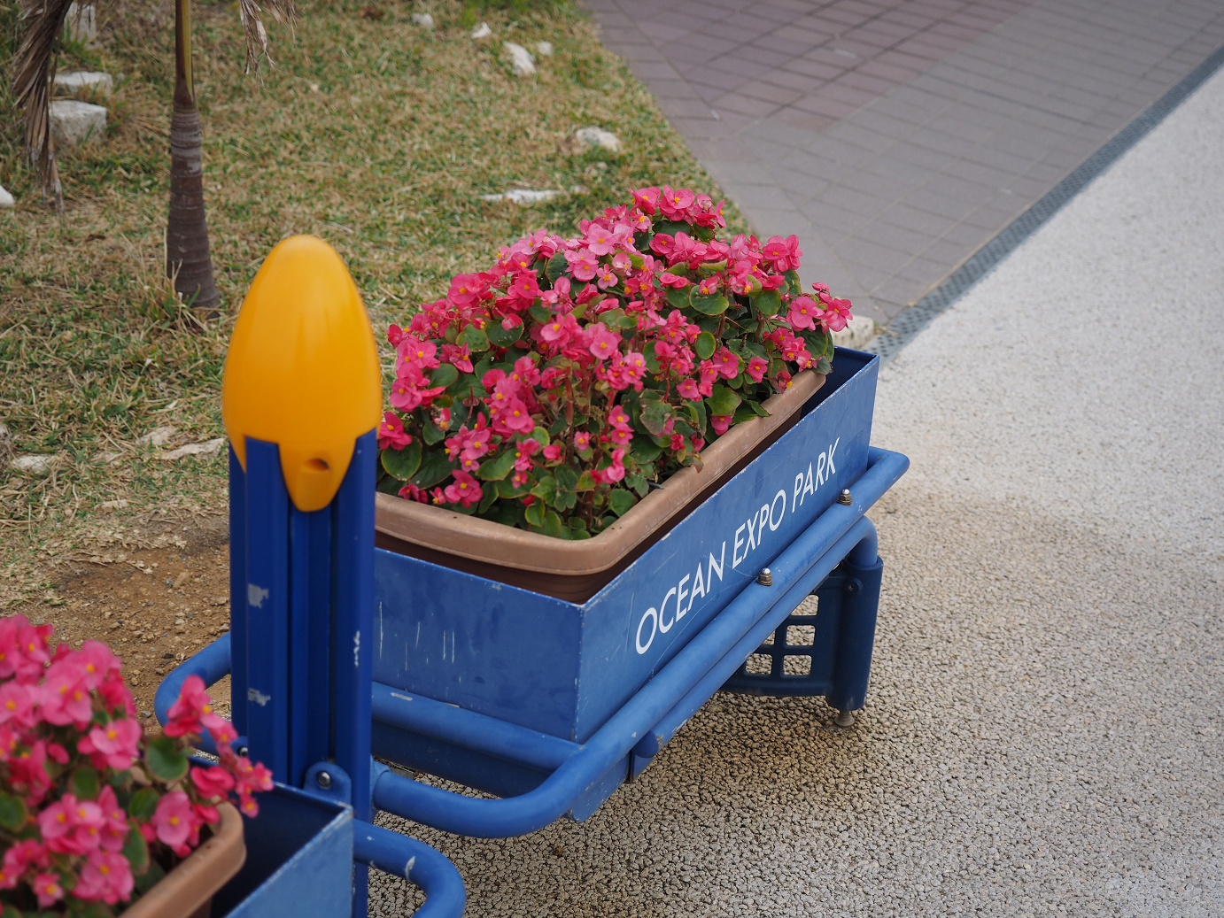 P1210935.jpg