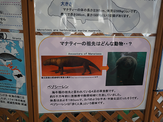 P1210938_thumb.png