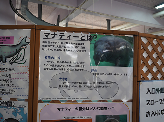 P1210939_thumb.png