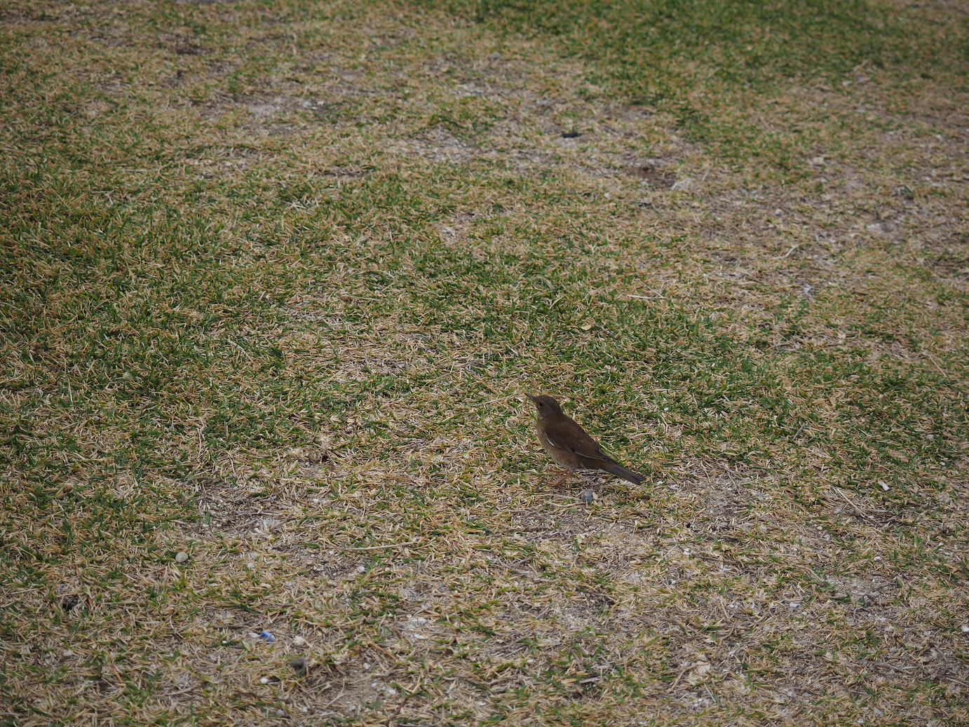 P1210966.jpg