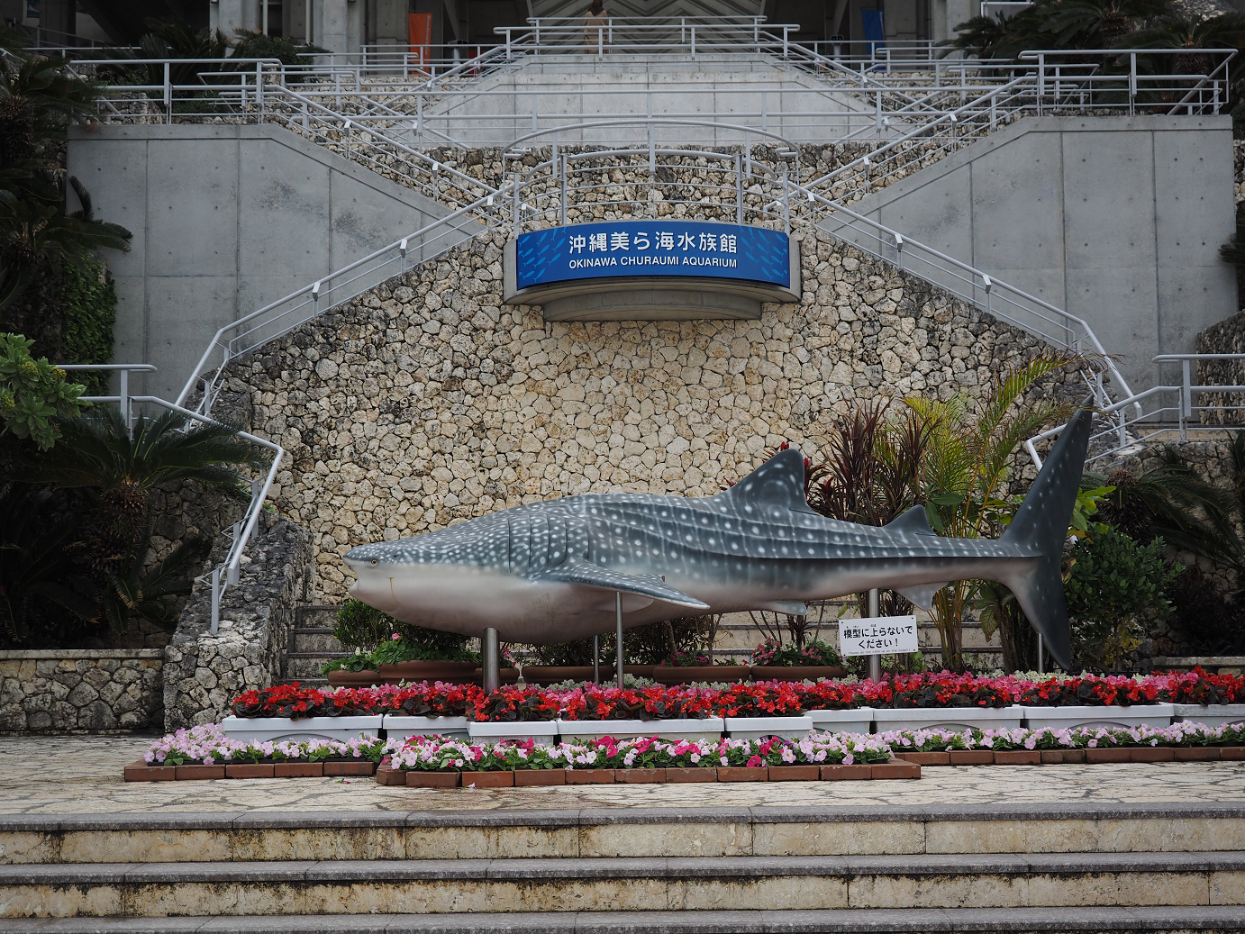 P1210969.jpg