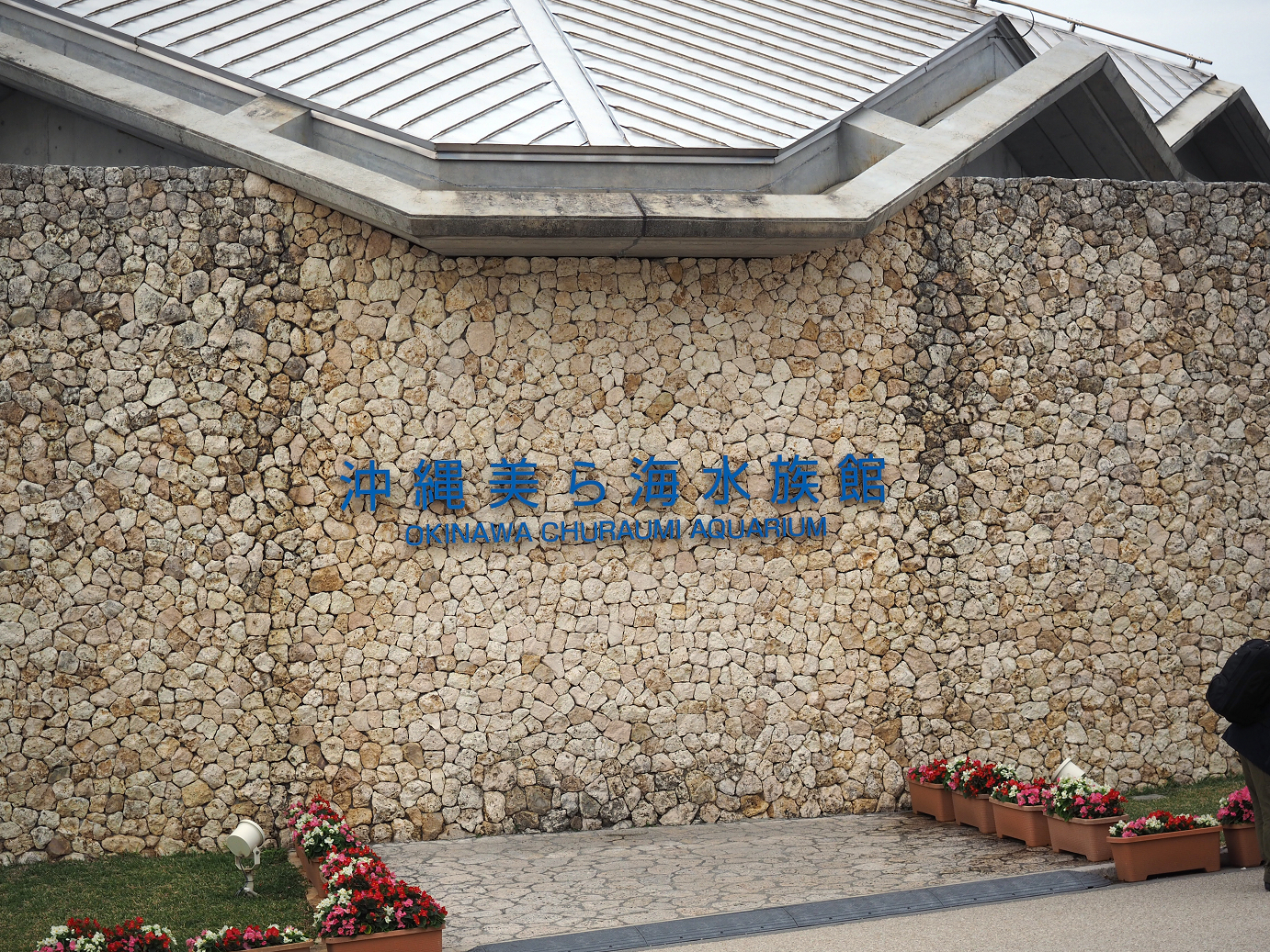 P1210993.jpg