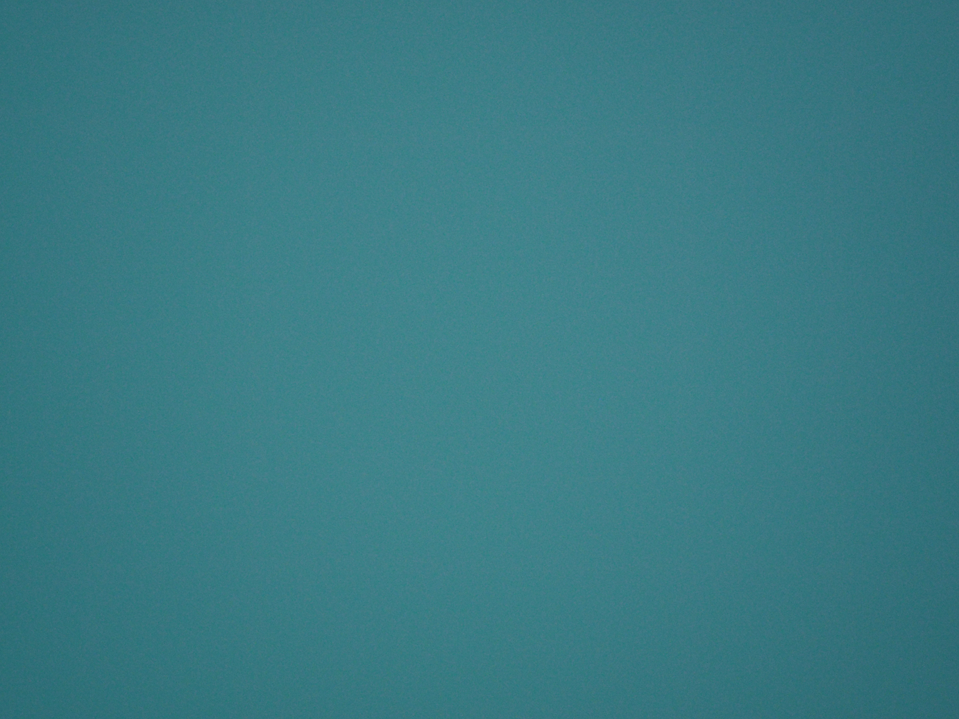 P1211479.jpg