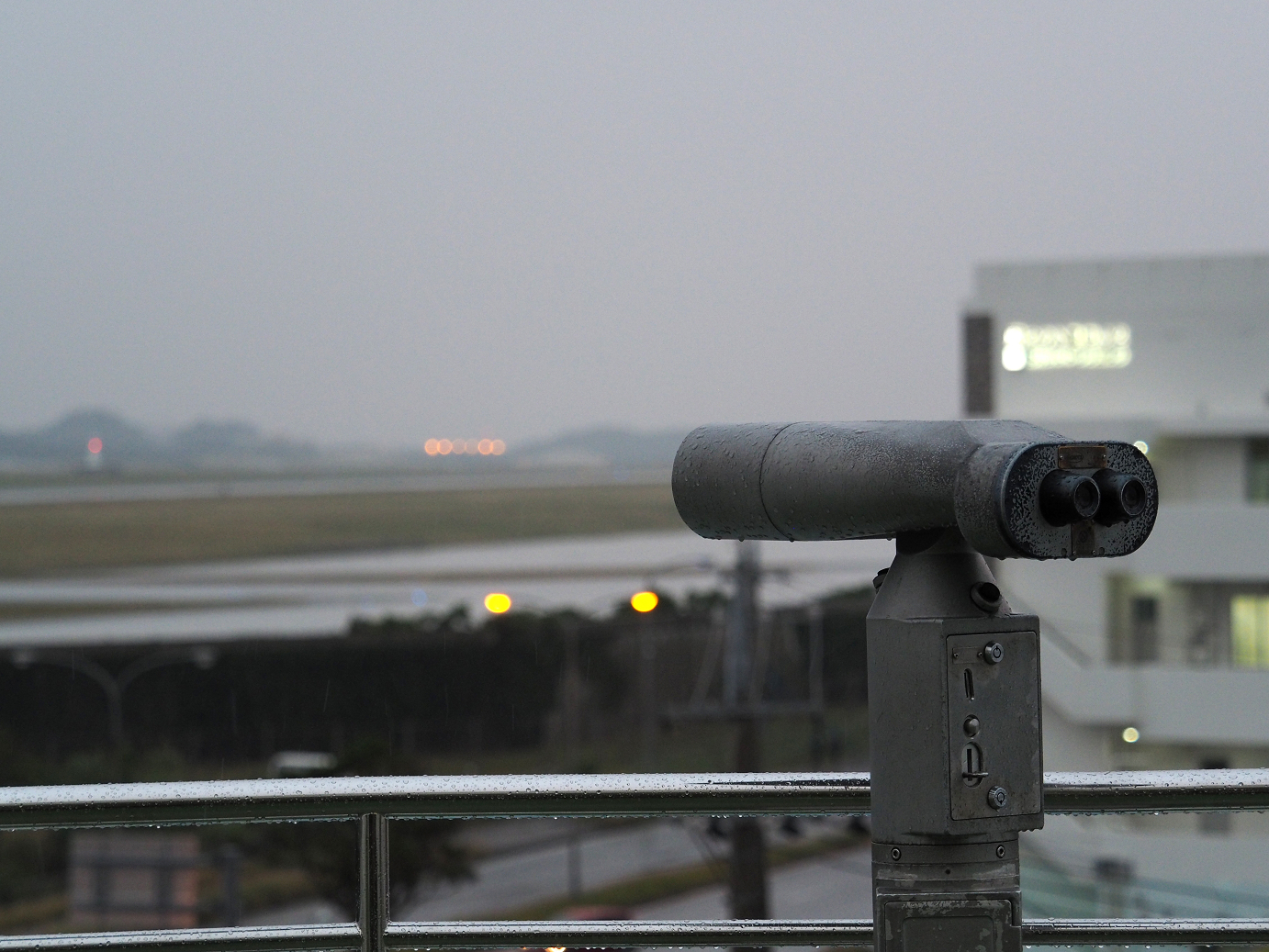 P1211526.jpg