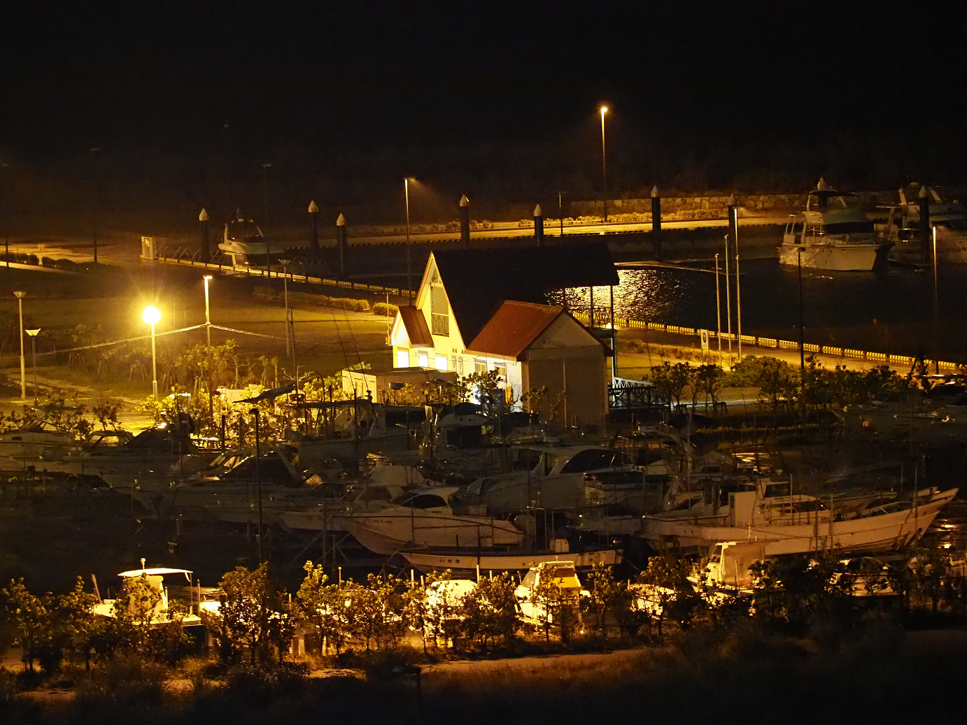 P1211665.jpg