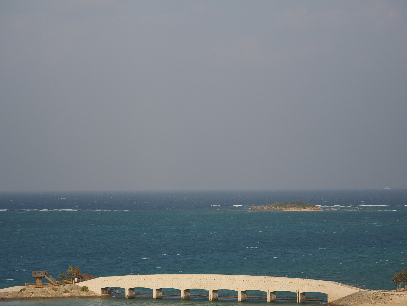 P1221744.jpg