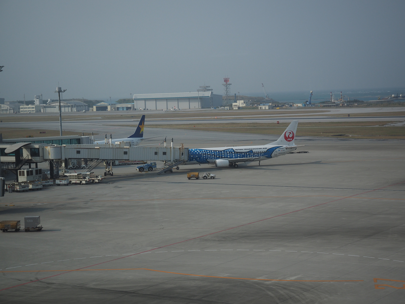 P1221837.jpg