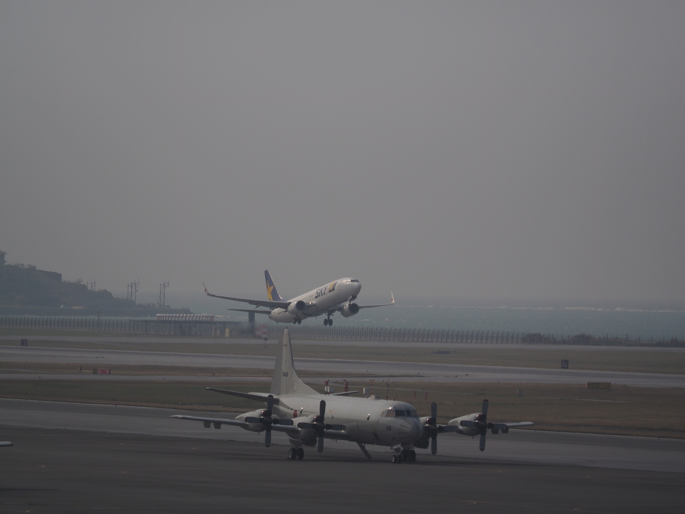 P1221869.jpg