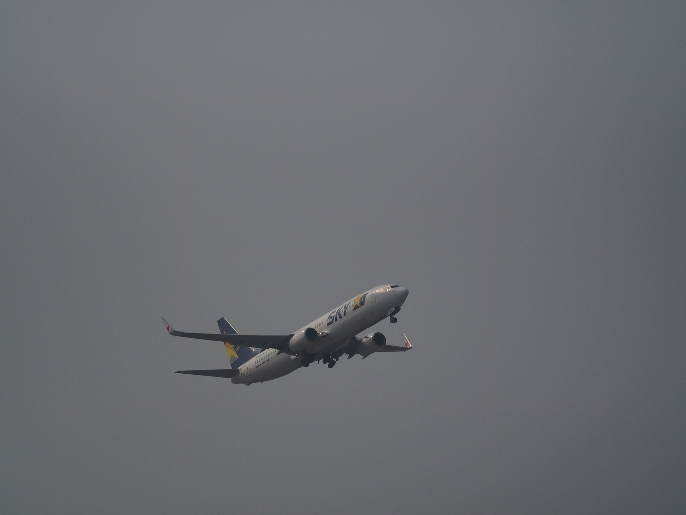 P1221873.jpg