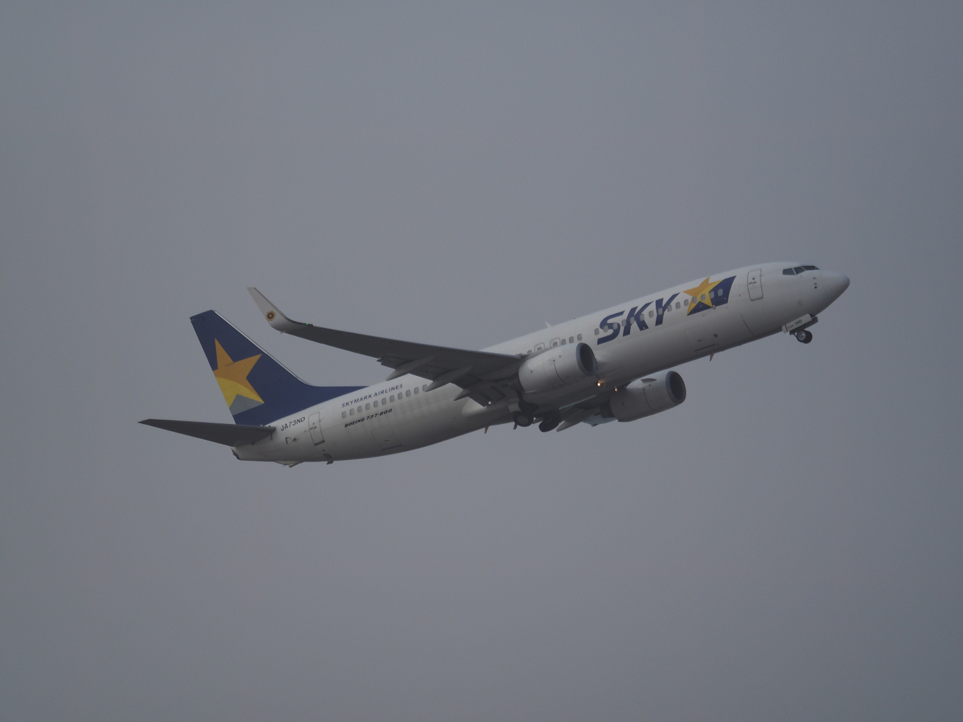 P1221960.jpg