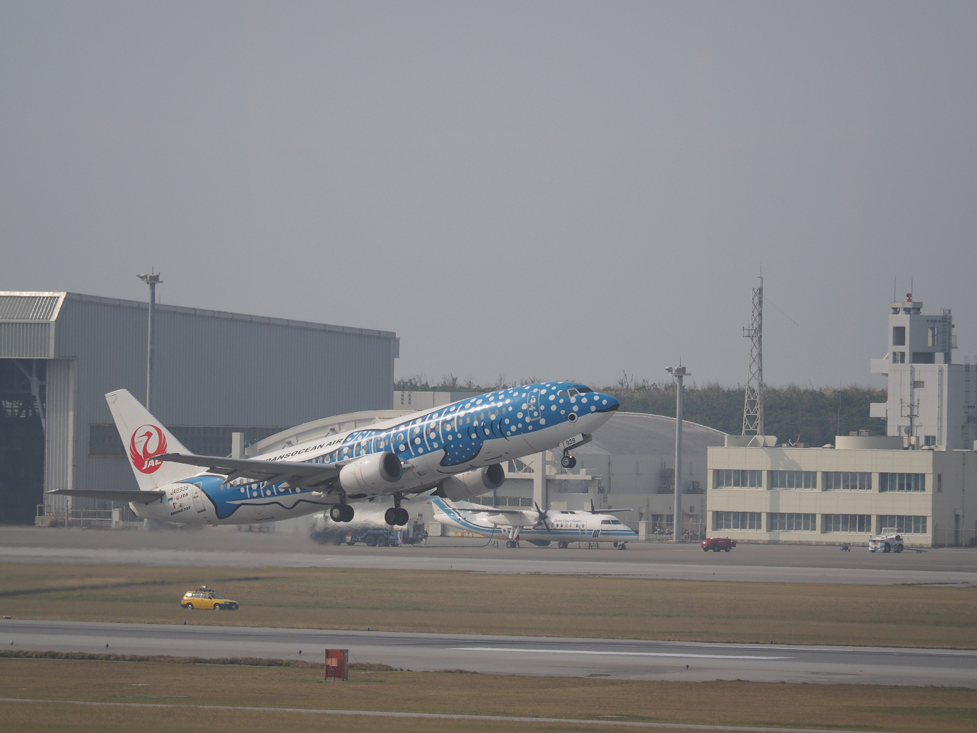 P1222013.jpg