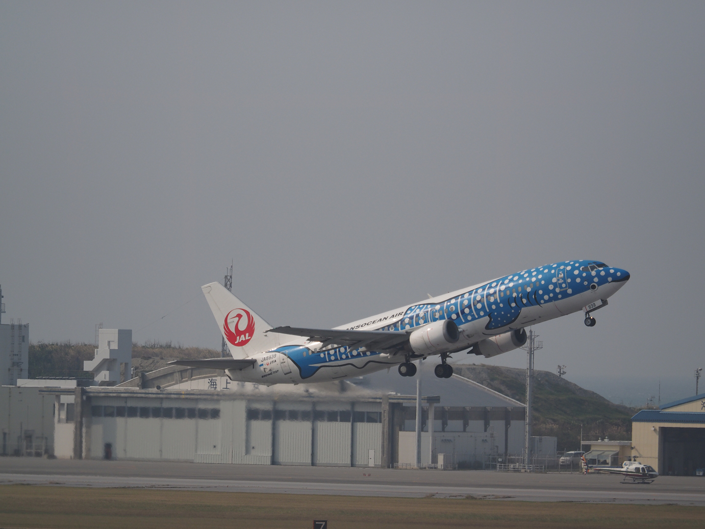 P1222014.jpg