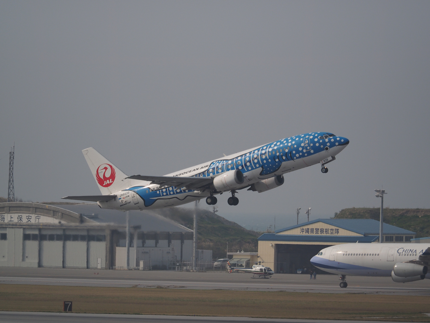 P1222015.jpg
