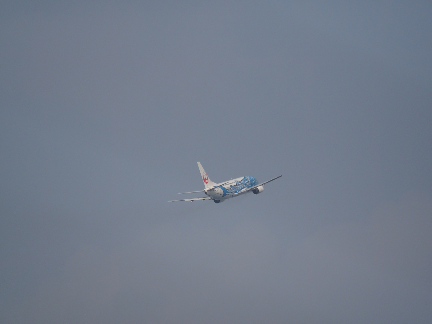P1222019.jpg