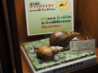P1222353_thumb.png